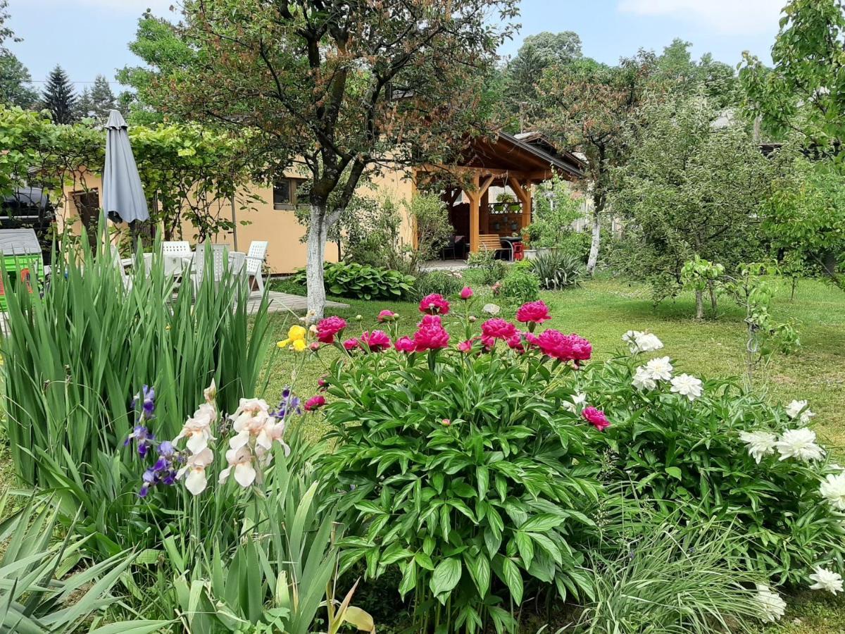 Magnolija Banja Luka